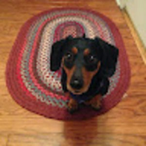 Meet your Posher, Doodle